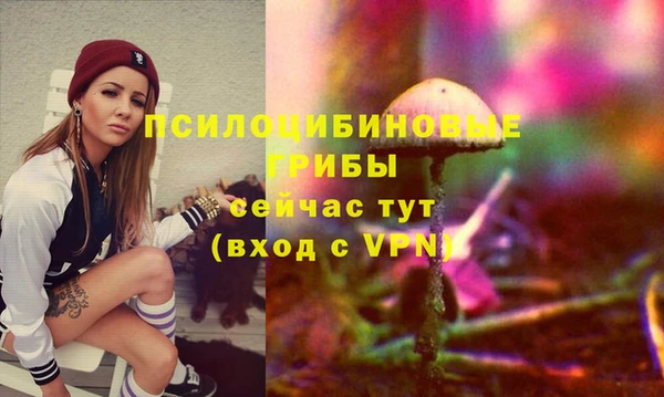 ECSTASY Балабаново
