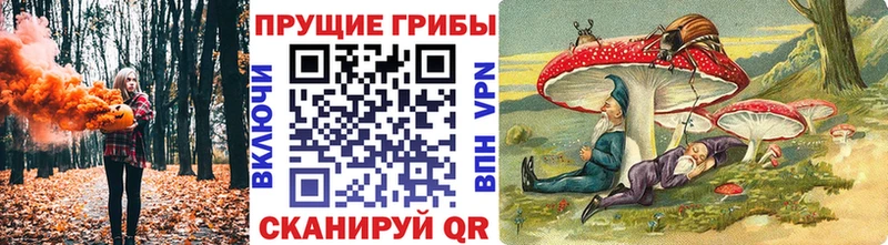 Псилоцибиновые грибы Psilocybine cubensis MEGA ТОР Бавлы